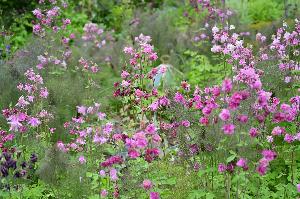 Garten Herrenmühle Bleichheim im Mai
